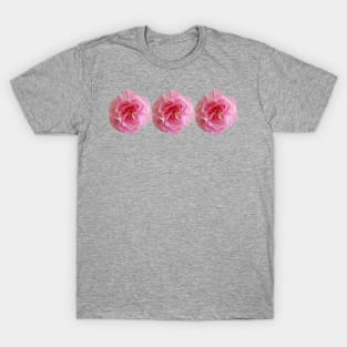 Three Pink Carnations Floral Photo T-Shirt